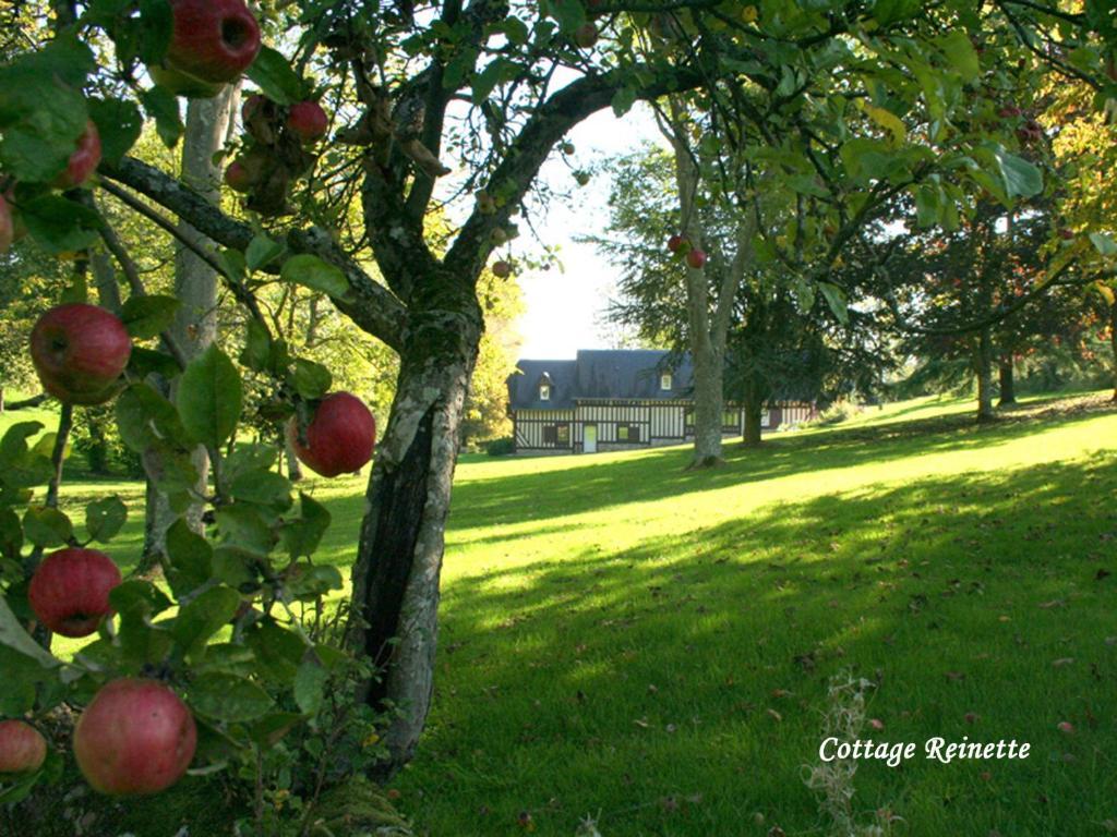 Les Fermes De Florence Bien Etre Et Nature Les Champeaux Номер фото